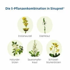 Sinupret ® überzogene Tabletten, 200 St><noscript><img width=