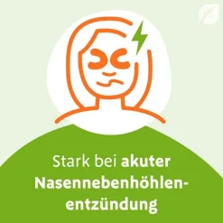 Sinupret eXtract Tabletten, 20 St