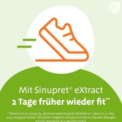 Sinupret eXtract Tabletten, 20 St