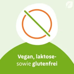 Sinupret eXtract Tabletten, 20 St