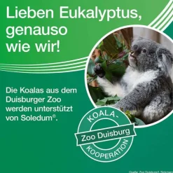 Soledum Kapseln, 100 St