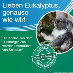 Soledum Kapseln forte, 2x100 St><noscript><img width=