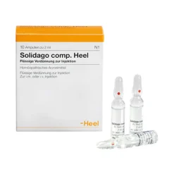 Heel Solidago comp. Ampullen, 10 St> Heel