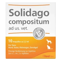 Solidago compositum ad us. vet. Ampullen, 10 St