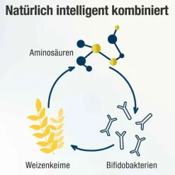 Spermidin Plus Kapseln, 60 St