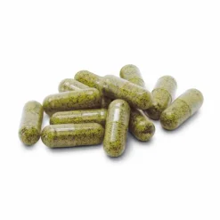 Sulfoforte plus Dr. Jacobs Kapseln, 90 St