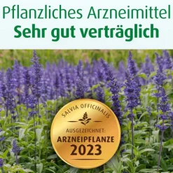 Sweatosan® überzogene Tabletten, 200 St