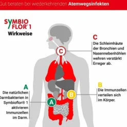 Symbioflor 1 Suspension, 3X50 ml