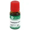 Symphytum Arcana LM 6 Dilution, 10 ml