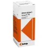 Kattwiga Synergon 95 Actaea spic. S T, 50 ml> Kattwiga