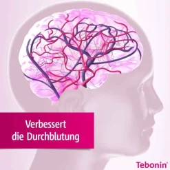 Tebonin konzent 240 mg Filmtabletten, 120 St><noscript><img width=