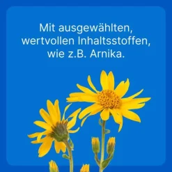 Traumeel LT ad us.vet.Tabletten, 500 St