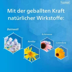 Traumeel® S Creme und Tabletten, 1 St