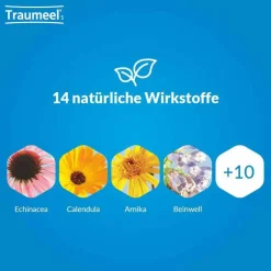 Traumeel® S Creme, 2x100 g