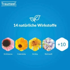 Traumeel® S Mischung, 100 ml