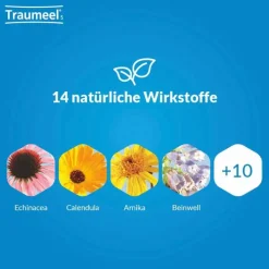 Traumeel S Tabletten, 250 St><noscript><img width=
