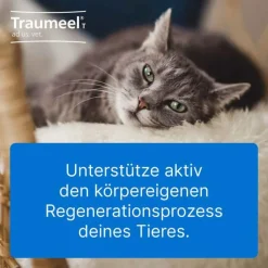 Traumeel T ad us. vet. Tabletten für Hund und Katze, 500 St