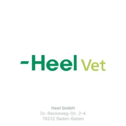 Traumeel T ad us. vet. Tabletten für Hund und Katze, 500 St