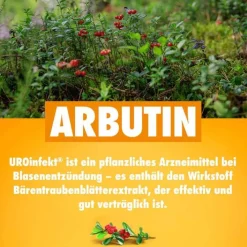 Uroinfekt ® 864 mg Filmtabletten, 14 St><noscript><img width=