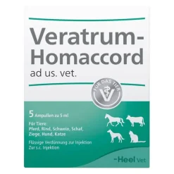 Veratrum Homaccord Ampullen vet. (für Tiere), 5 St