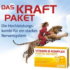 Hevert Vitamin B Komplex forte Tabletten, 100 St><noscript><img width=