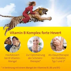 Hevert Vitamin B Komplex forte Tabletten, 60 St> Vitamin B6 (Pyridoxin)|Vitamin B12 (Cobalamin)