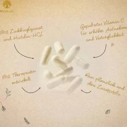 Erdling Vitamin C-Komplex Zink Histidin vegan Kapseln , 120 St><noscript><img width=