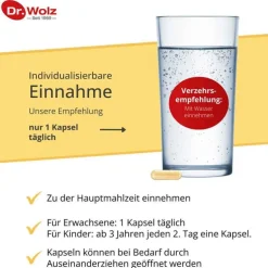 Vitamin D3 1000 I.E. plus Dr. Wolz Kapseln, 60 St