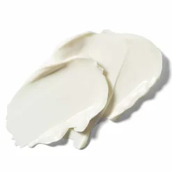 Weleda Skin Food nährende Nachtpflege, 40 ml