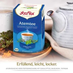 Yogi Tea Atem Tee Bio, 17X1.8 g