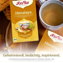 Yogi Tea Himalaya Bio, 17X2.0 g