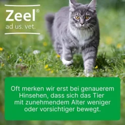 Zeel ® ad us. vet. Tabletten, 500 St><noscript><img width=