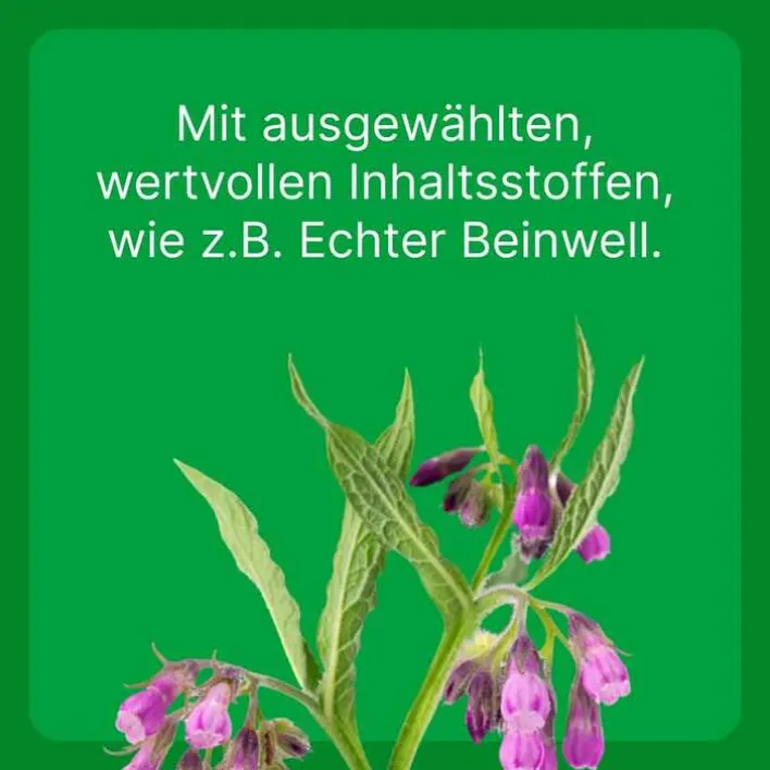 Zeel ® LT ad us. vet. Tabletten, 500 St> Biologische Heilmittel Heel Gmbh