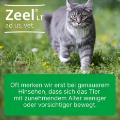 Zeel® LT ad us. vet. Tabletten, 100 St