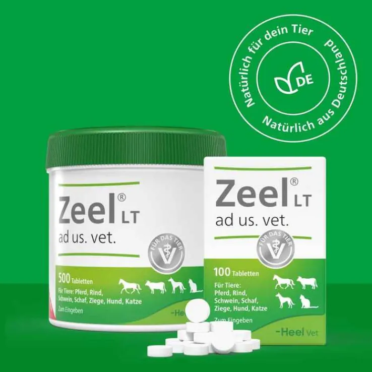 Zeel® LT ad us. vet. Tabletten, 100 St