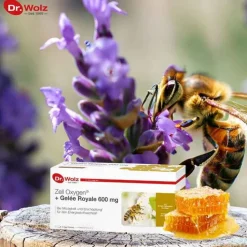 Dr. Wolz Zell Oxygen + Gelee Royale 600 mg Trinkampullen, 14X20 ml><noscript><img width=